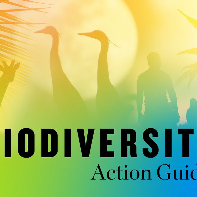 A collage of silhouetted animal, plant and people photos with a gradient overlay of green, orange, and yellow.